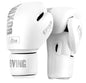 Box Mastery Professional Boxing Gloves