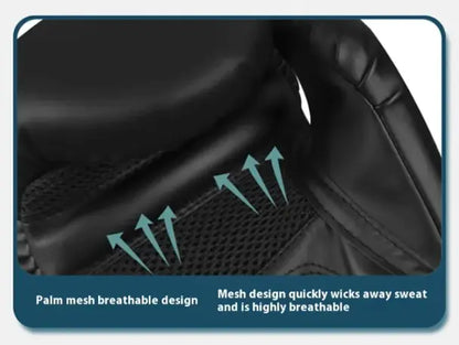 Box Mastery Professional Boxing Gloves