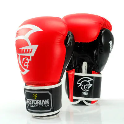 Box Mastery Professional Boxing Gloves