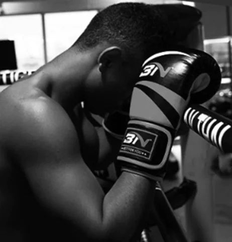 Box Mastery Professional Boxing Gloves