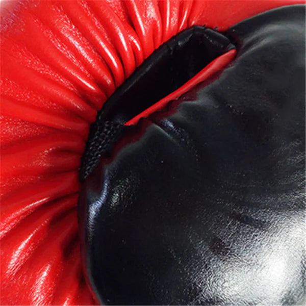 Box Mastery Professional Boxing Gloves