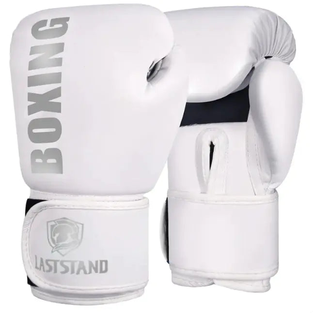 Box Mastery Professional Boxing Gloves