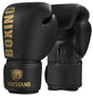 Box Mastery Professional Boxing Gloves