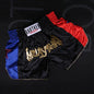 Box Mastery Boxing Shorts