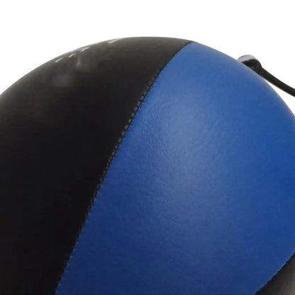 Box Mastery Professional Boxing Speed Ball