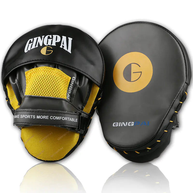 Box Mastery Boxing Pads and Gloves
