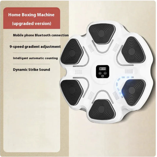 Box Mastery Smart Boxing Machine