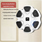 Box Mastery Smart Boxing Machine