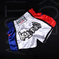 Box Mastery Boxing Shorts