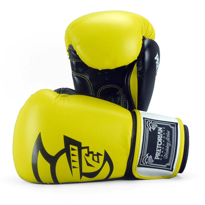 Box Mastery Professional Boxing Gloves