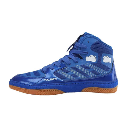 Box Mastery Combat Shoes